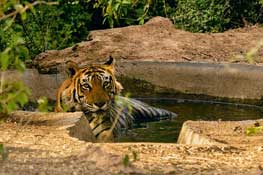 Places To Visit In Sariska