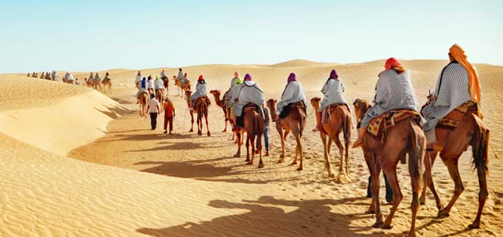 A Two Days Tour of Camel City- Bikaner