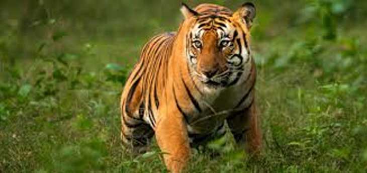 5 best National park in India