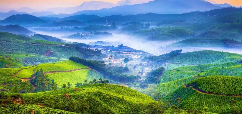 Best Places to Visit in South India for Culture, Beaches, Wildlife & Luxury Holidays
