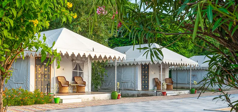 Best Resort in Jawai – Luxury Stay & Leopard Safari