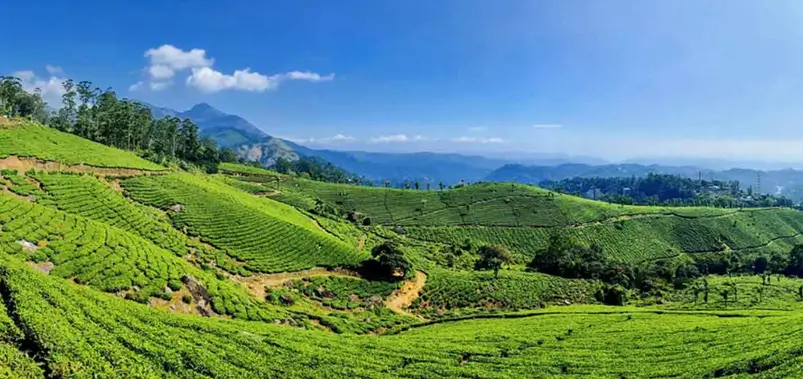 North East India Tour Packages with Custom Itineraries and Private Travel Planning