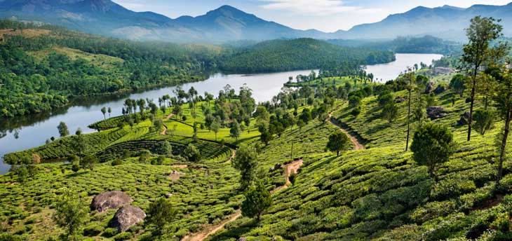 Explore the best of Munnar in one go