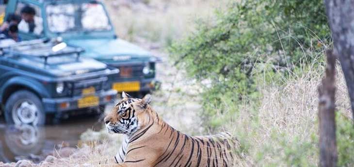 Golden Triangle with Ranthambore Safari