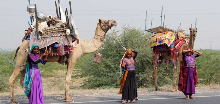 Gujarat Textile and Tribal Tour