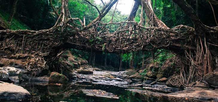 India Tour Plan with Offbeat Destinations
