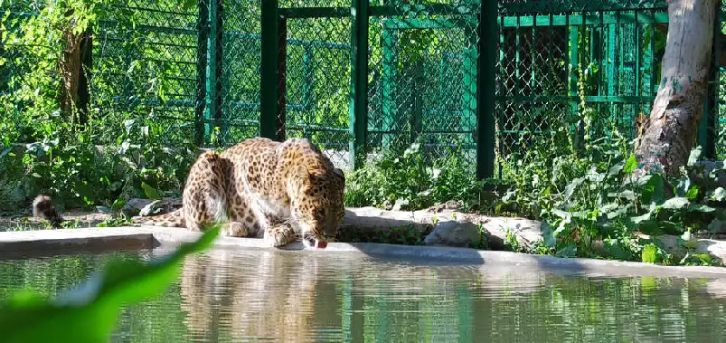 Jaipur Zoo
