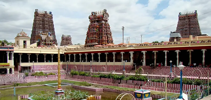 Kerala Tour by Private Car & Driver - Luxury Backwaters, Hills & Beaches