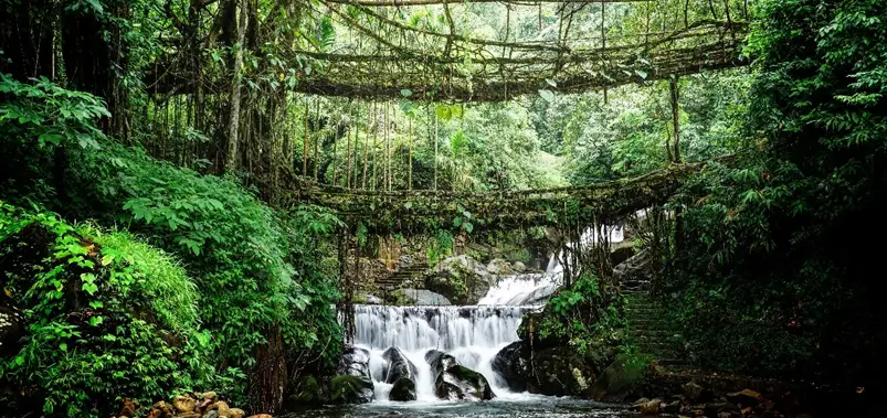 Meghalaya Tour Packages Covering Shillong, Cherrapunji and Living Root Bridges