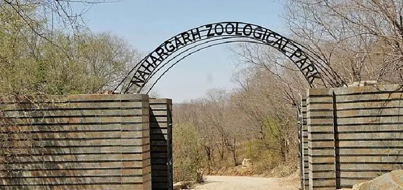 Nahargarh Biological Park Jaipur