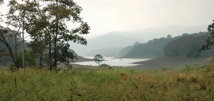 Popular National Parks of South India