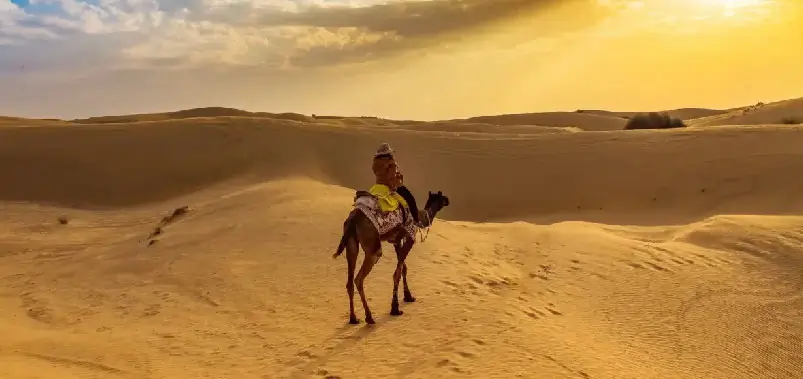 Rajasthan in Summer - Is It Worth Visiting? Honest Guide for Foreign Tourists