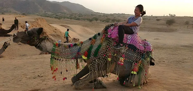 Rajasthan Tour by Private Car & Driver – Complete Luxury Travel Guide