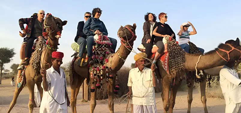 Rajasthan Tour Cost Breakdown – How Much Does a Rajasthan Trip Really Cost?