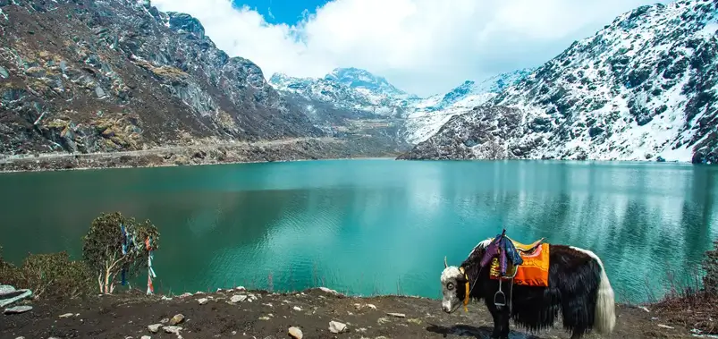 Sikkim Tour Packages with Himalayan Views and Buddhist Monasteries