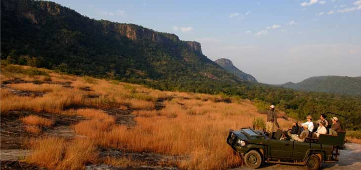 Things to know before going for wildlife safari in India