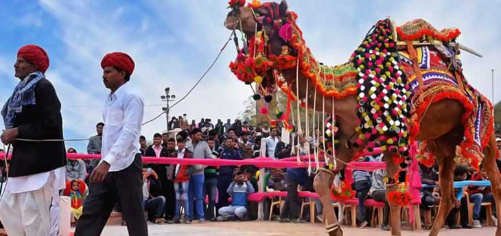Top 8 Festivals That You Can Enjoy in India in January 2023
