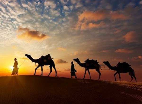 Rajasthan Tour, Rajasthan Tour Packages, Rajasthan Holiday Packages