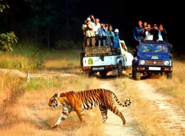 Same Day Jaipur Tour Package, One Day Jaipur Tour, Same Day Jaipur Tour, Same Day Tour Package