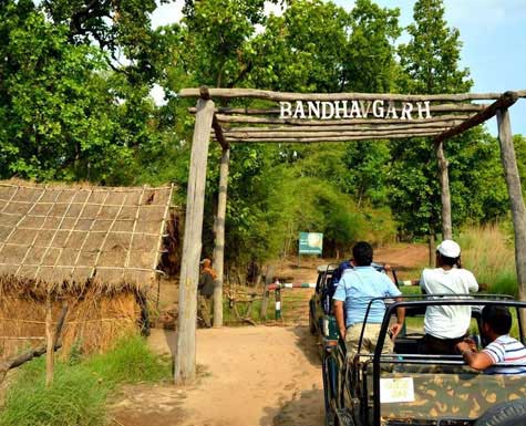 Bhandavgarh National Park