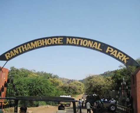 Ranthambore Tour and Travel Guide