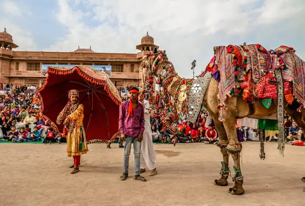 Bikaner Camel Festival