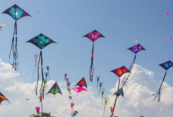 Kite Festival Jaipur 2026