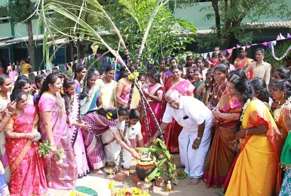 Pongal Festival Tamil Nadu