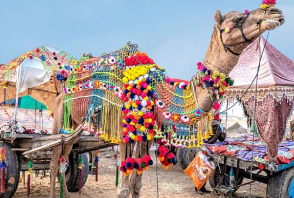 Pushkar Camel Fair