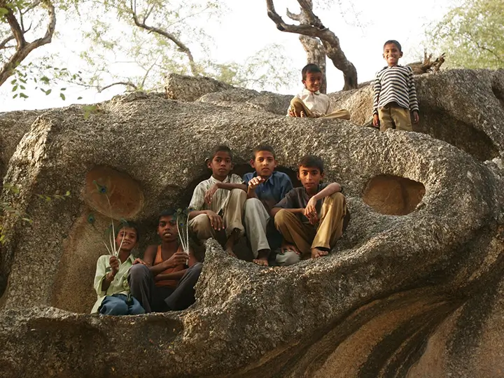 Top India Holidays