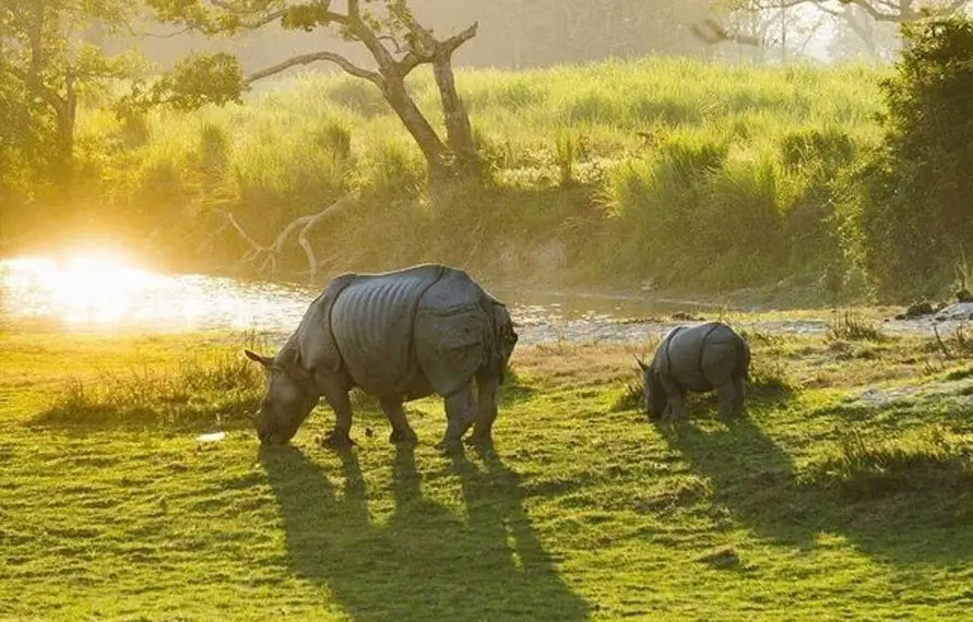 Best of North East India Tour