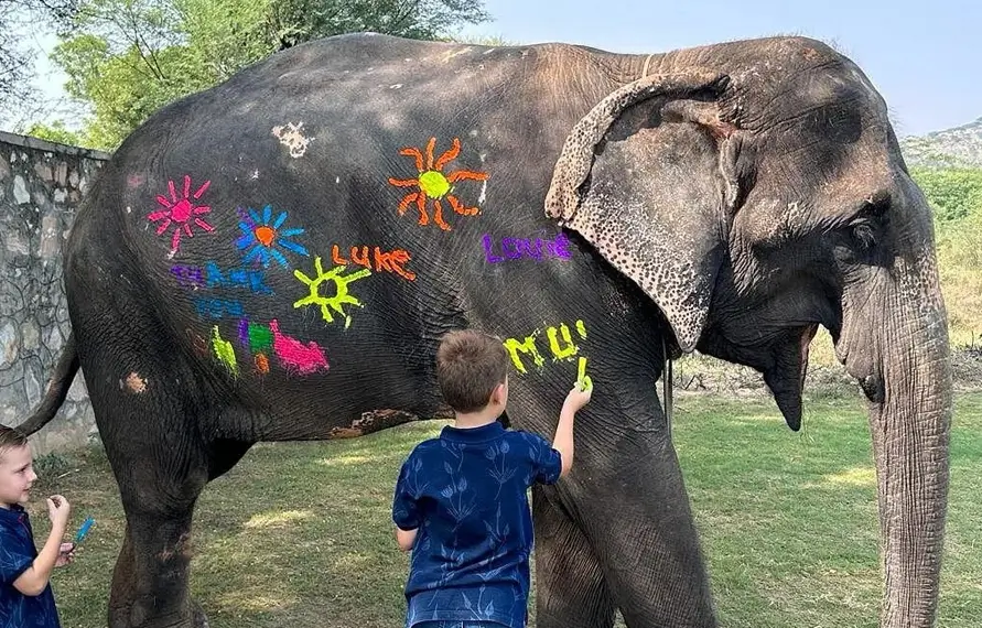 Golden Triangle Tour with Elephant Sanctuary Jaipur