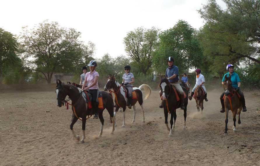 Golden Triangle Tour with Horse Safari