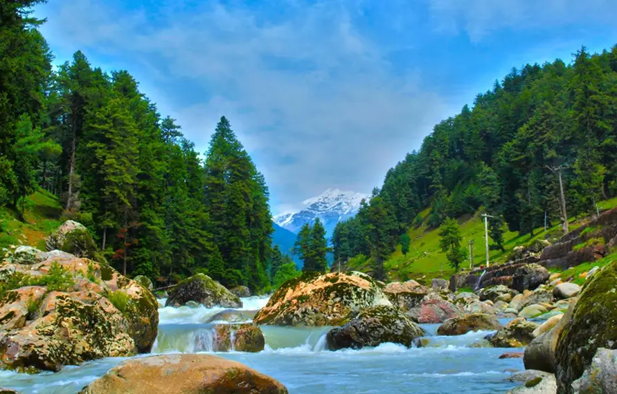Best of Kashmir Tour | 7 days Kashmir Tour Package