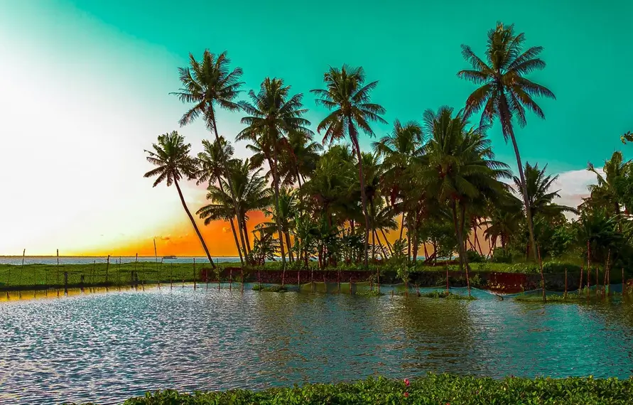 Golden Triangle with Kerala & Tamil Nadu Tour