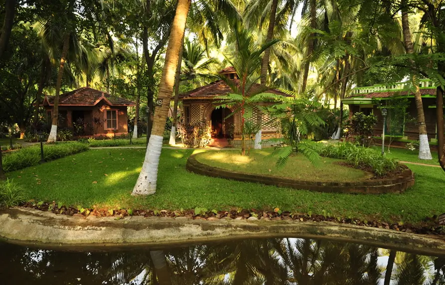 Kerala Ayurveda and Wellness Luxury Tour
