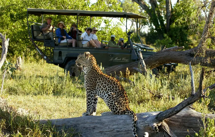 South India Leopard and Wildlife Luxury Tour
