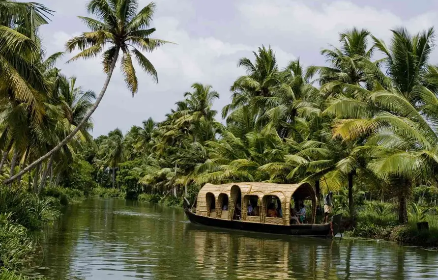 Luxury South India Wildlife Tour with Houseboat