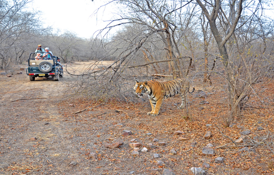 Luxury North India Tour With Ranthambore