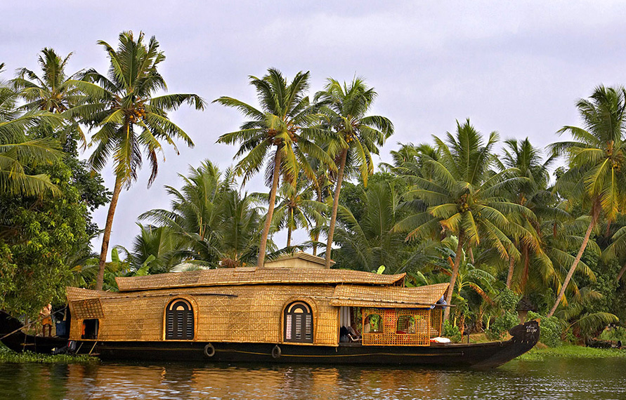 Luxury South India Wildlife Tour with Houseboat