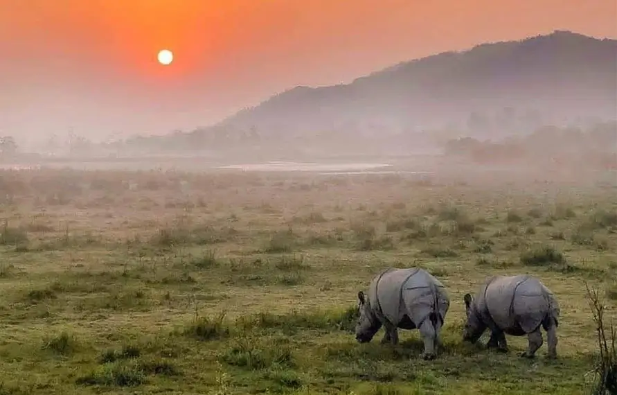 North East India Wildlife and Nature Tour