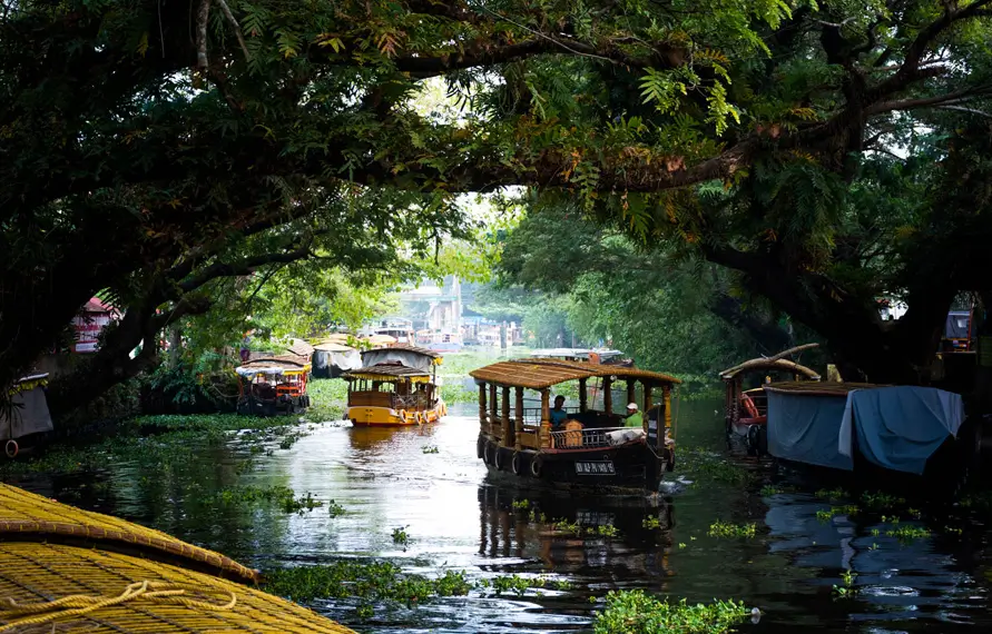 Luxury Kerala Backwaters and Beaches Tour