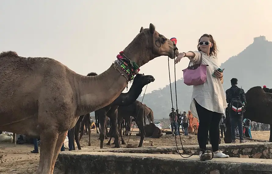 Rajasthan Tour Package 13 Nights 14 Days