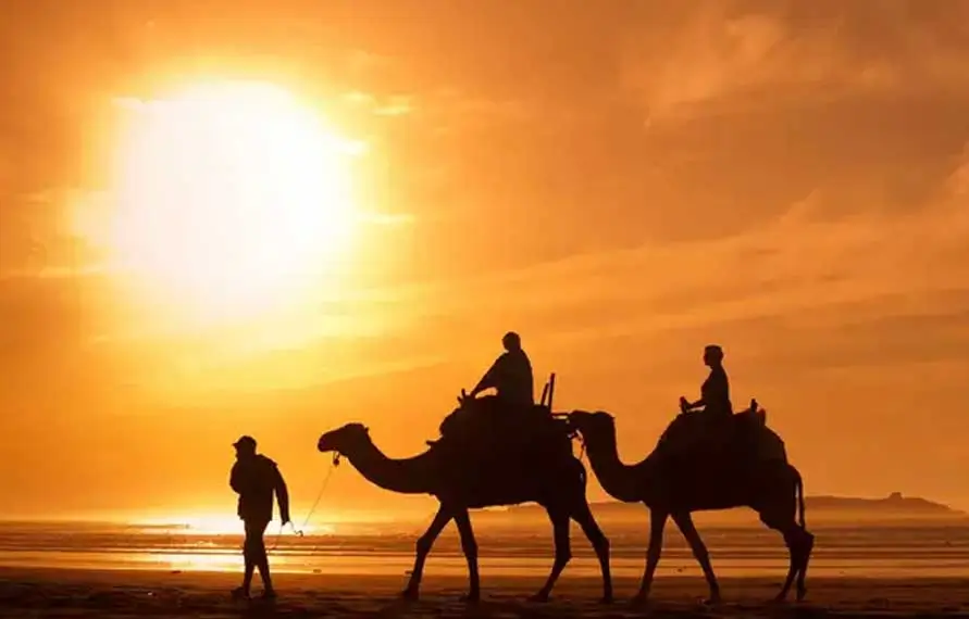 Rajasthan Tour Package 8 Nights 9 Days