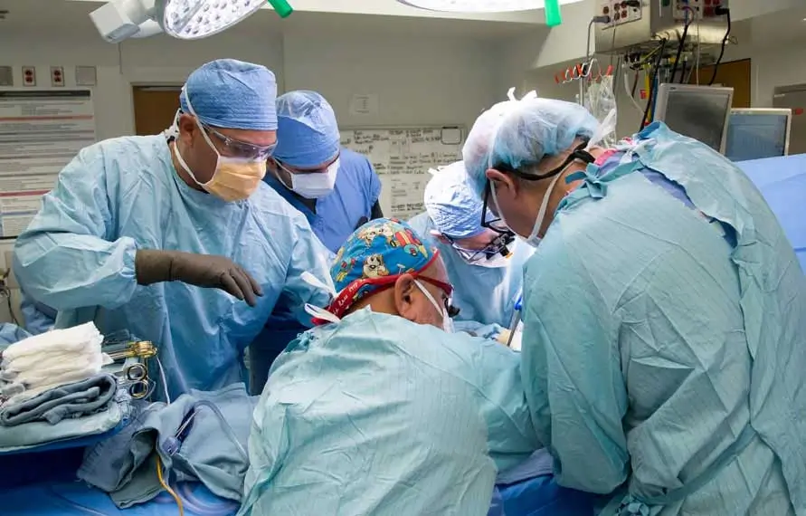 Organ Transplant Packages in India