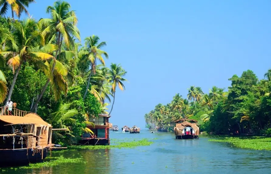 Treasures of South India