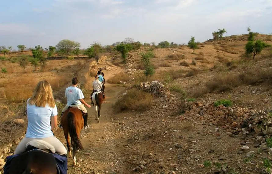 Golden Triangle Tour with Horse Safari