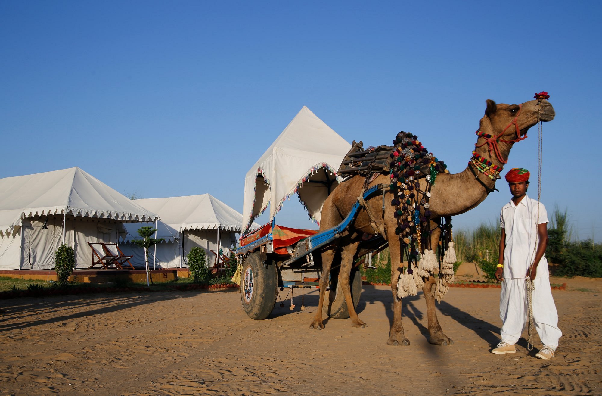 Pushkar Tour Package Rajasthan Cultural Trip India