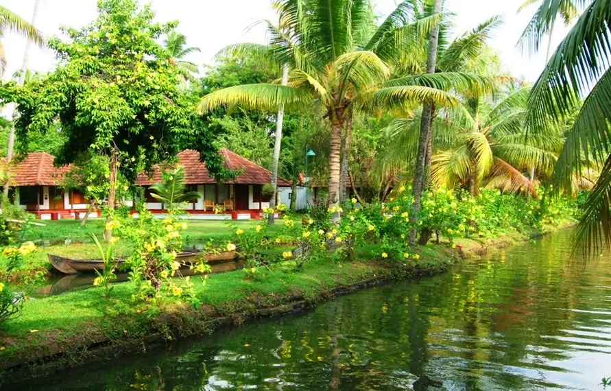 Gay Honeymoon Kerala & Goa Luxury Tour | Same-Sex Couple Kerala Goa Romantic India Tour