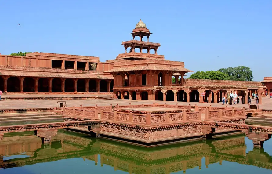 Bird Watching Tour  | Bird Watching Trips | India Wildlife